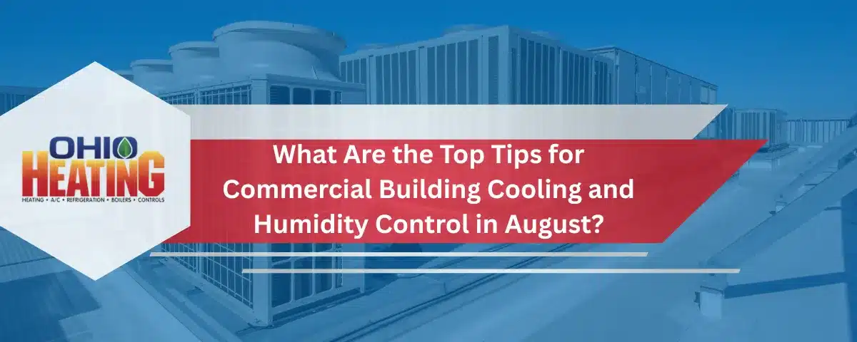 What are top tips banner